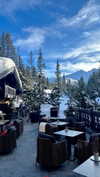 yuli.cohenn Altpins Profile Picture
