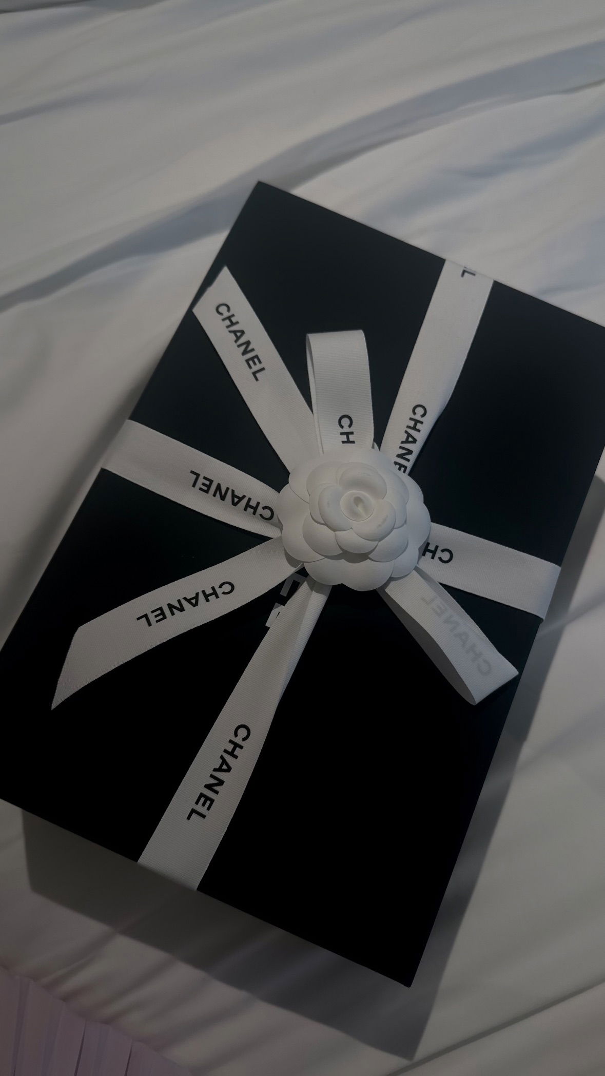 yuli.cohenn instagram image archive image