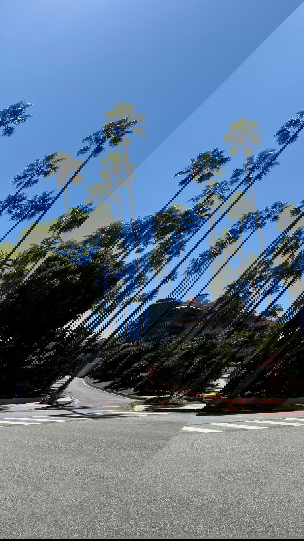 yuli.cohenn instagram image archive image