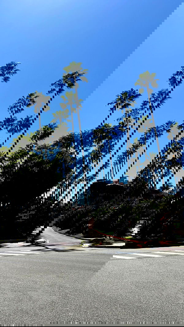 yuli.cohenn image ~ Altpins