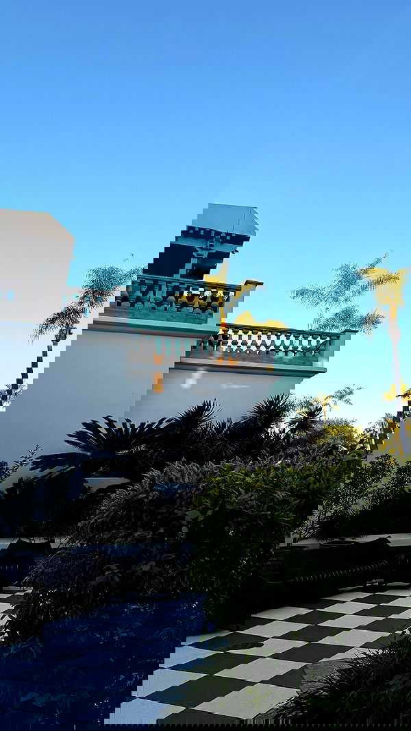 yuli.cohenn image ~ Altpins