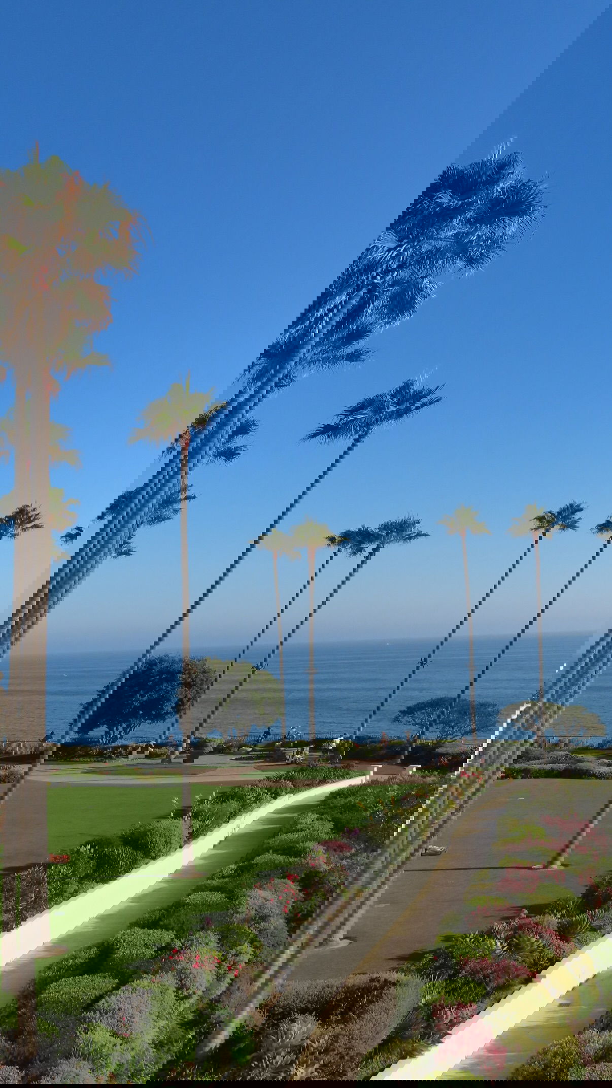 yuli.cohenn instagram image archive image