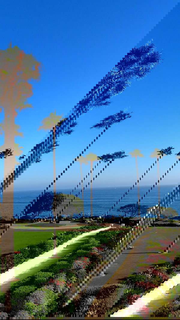 yuli.cohenn image ~ Altpins