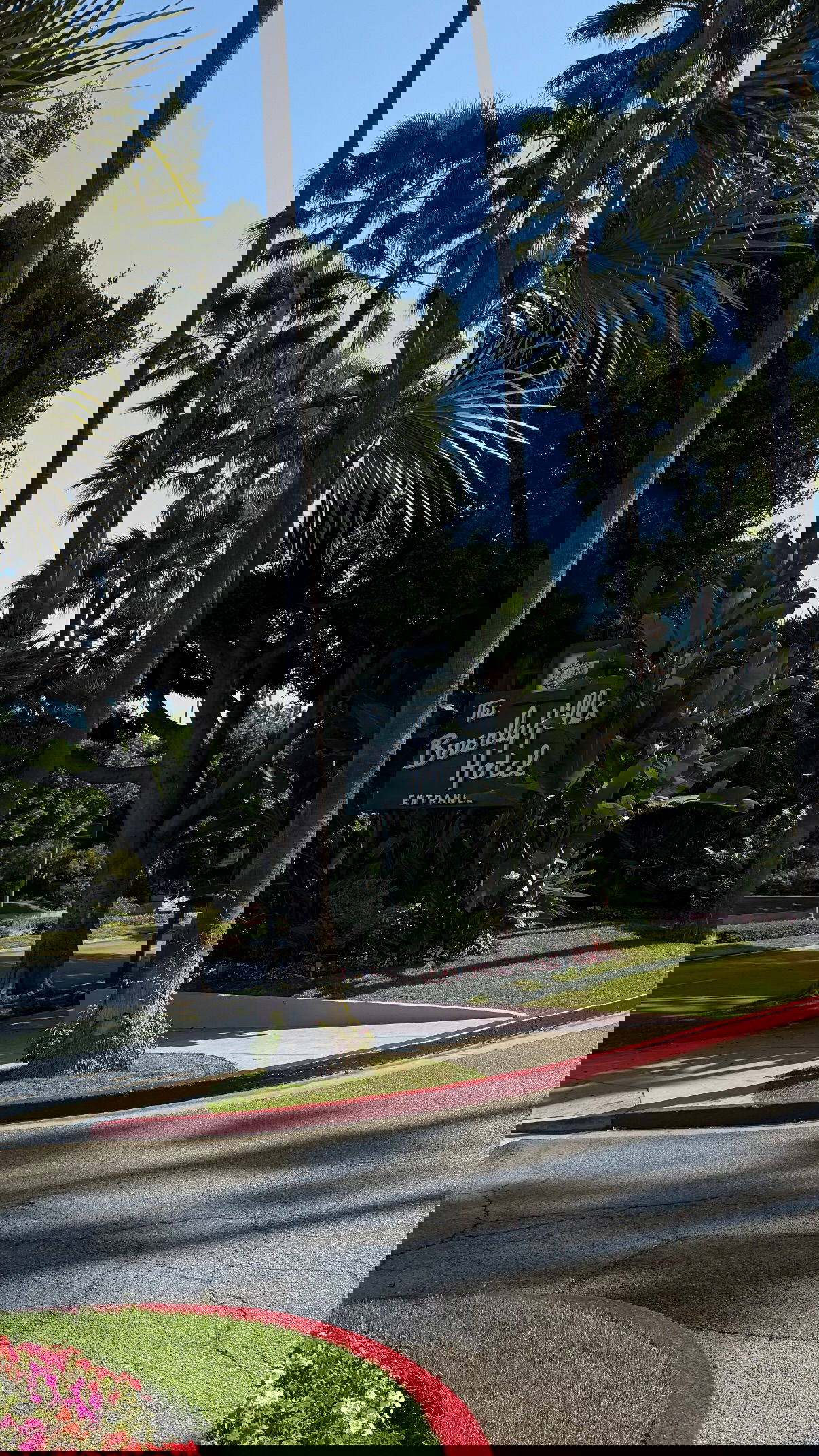 yuli.cohenn instagram image archive image