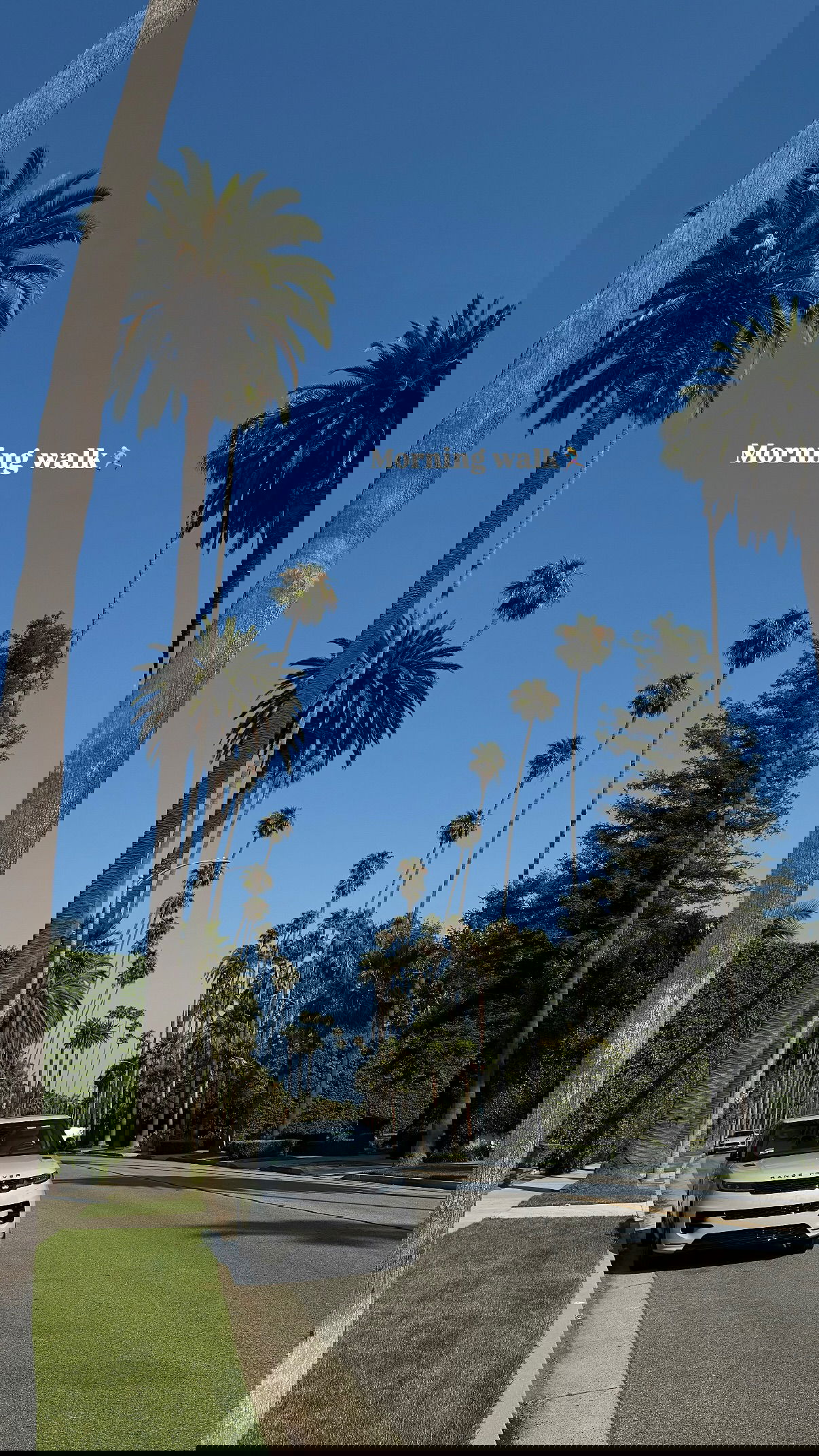 yuli.cohenn instagram image archive image