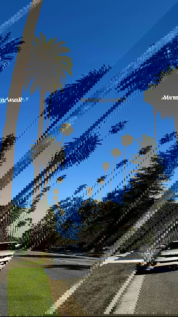 yuli.cohenn image ~ Altpins