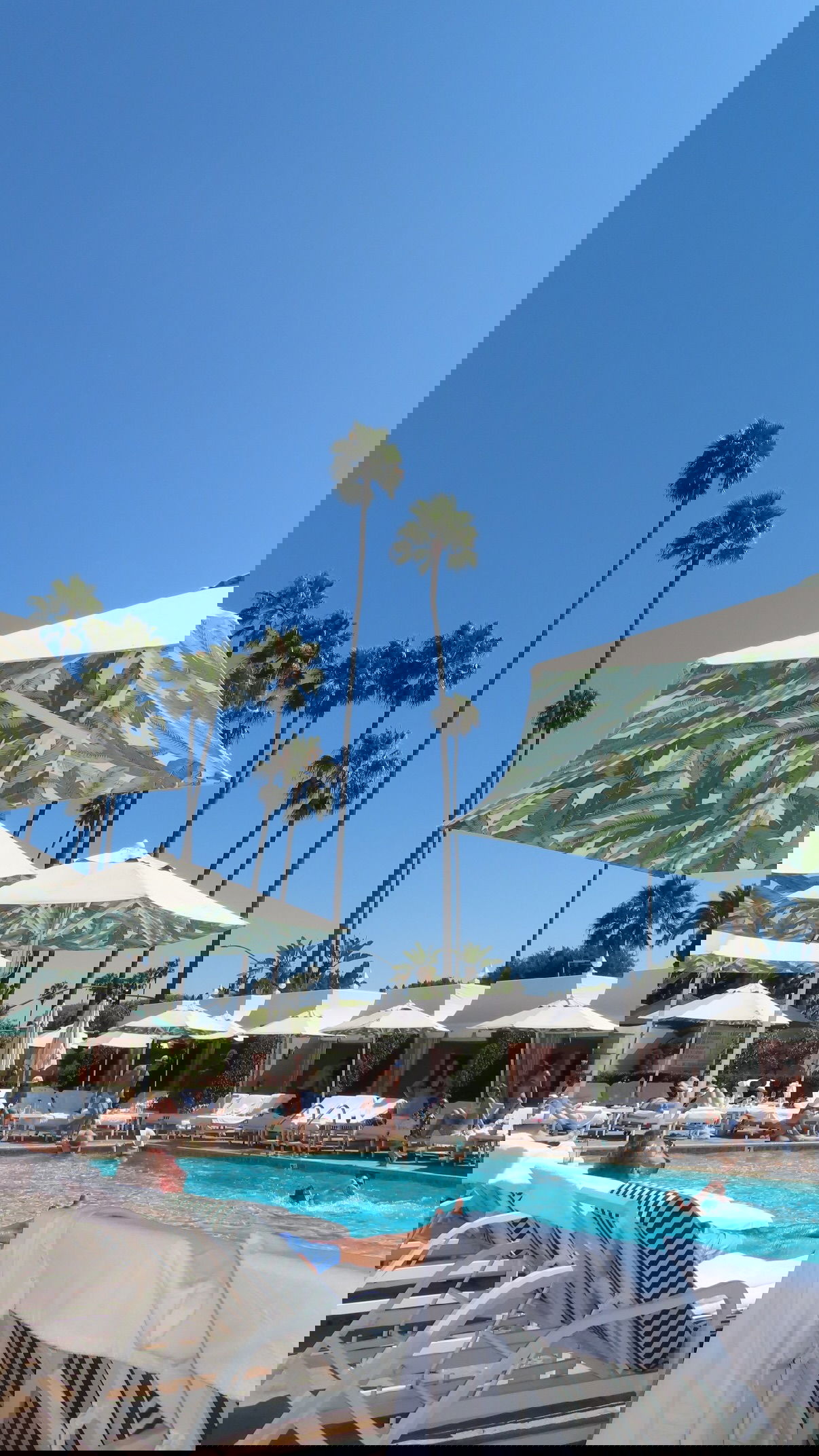 yuli.cohenn instagram image archive image