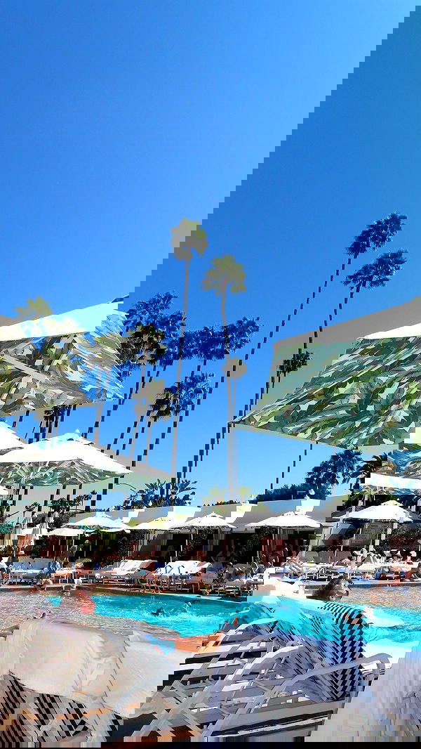 yuli.cohenn image ~ Altpins