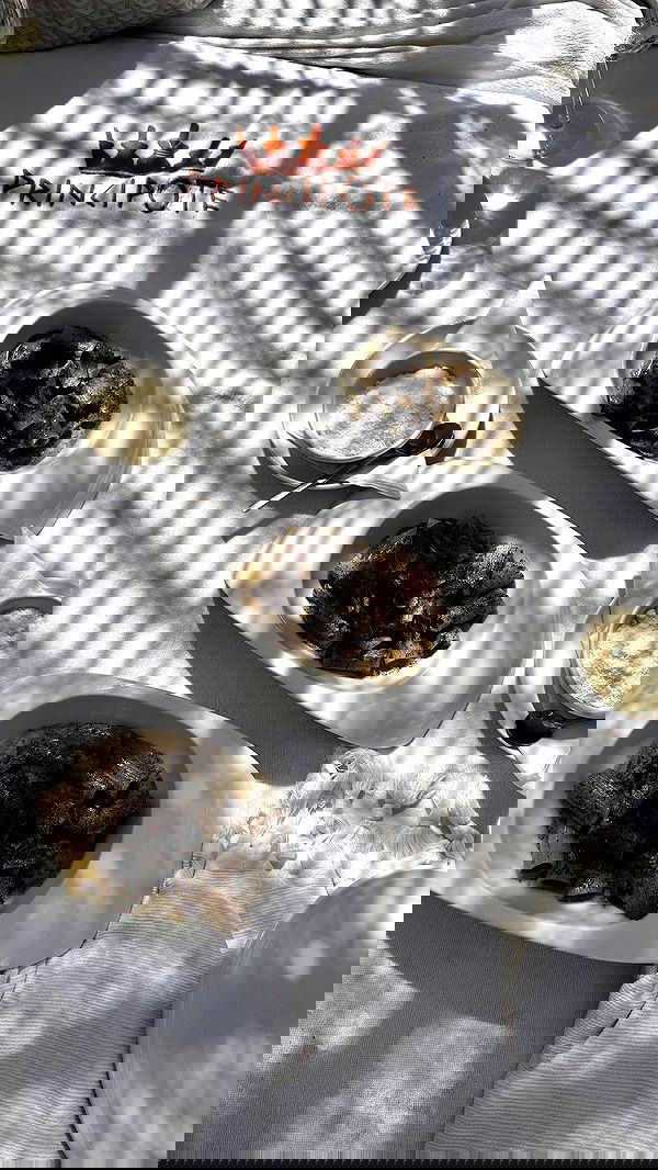 yuli.cohenn image ~ Altpins