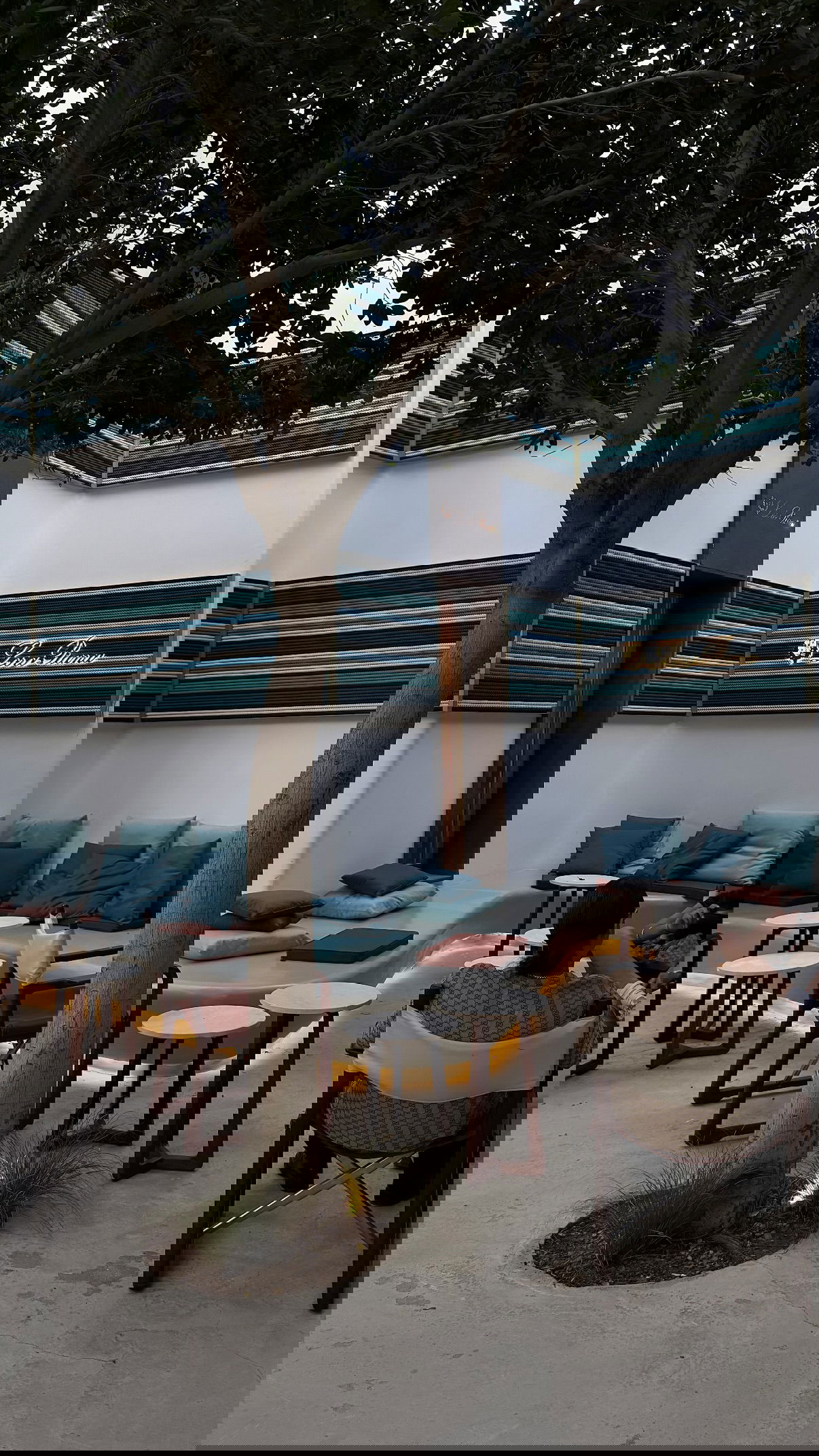 yuli.cohenn instagram image archive image