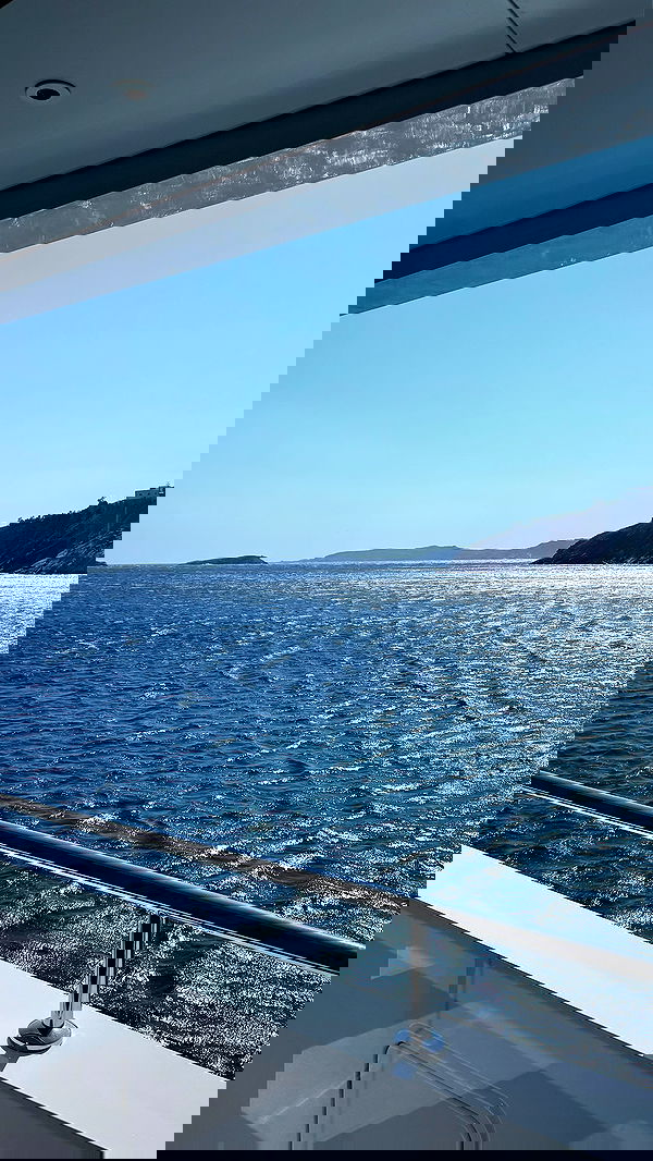 yuli.cohenn image ~ Altpins