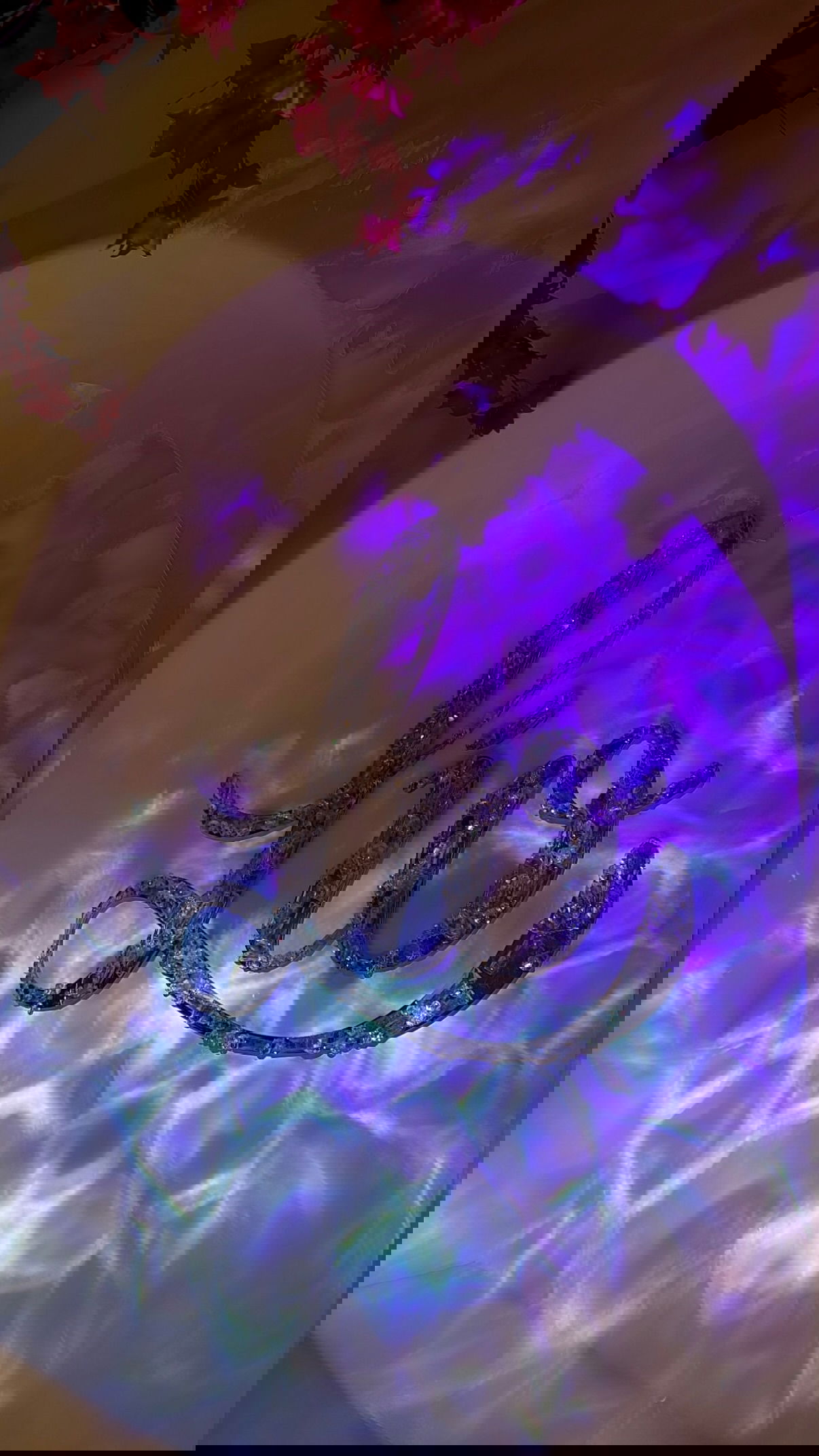 yuli.cohenn instagram image archive image