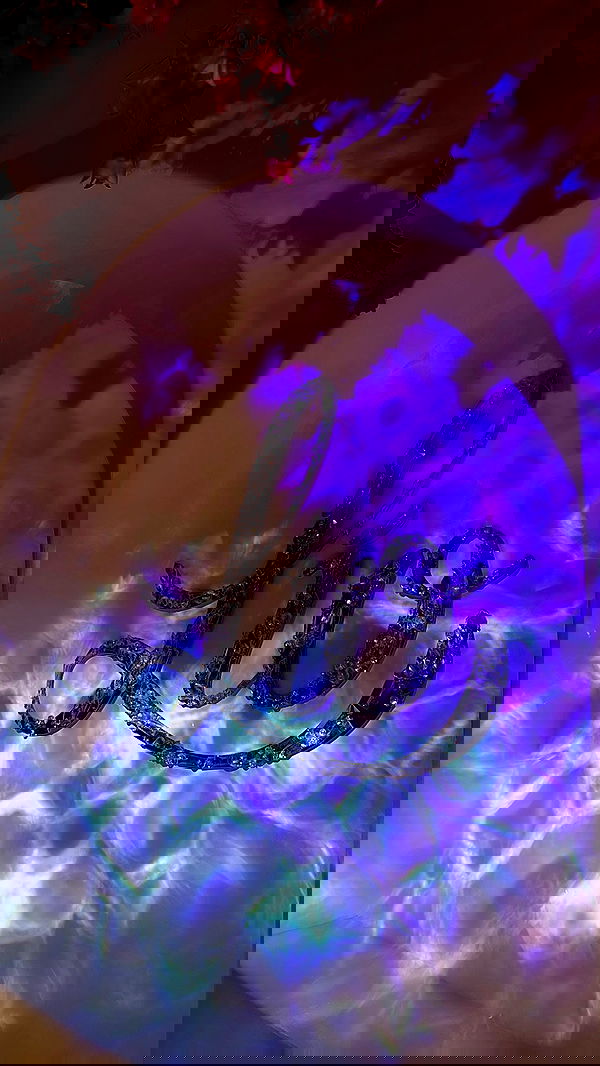 yuli.cohenn image ~ Altpins