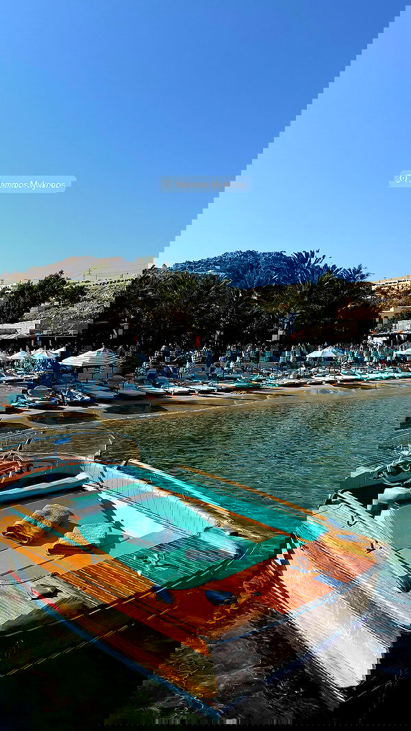 yuli.cohenn image ~ Altpins