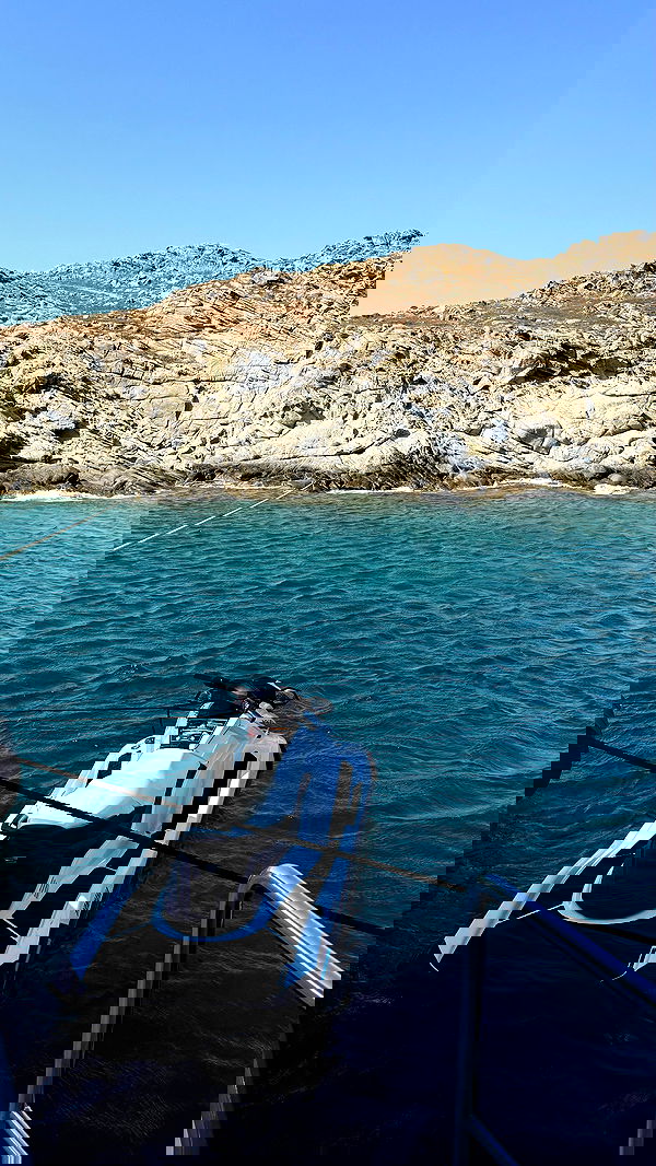 yuli.cohenn image ~ Altpins