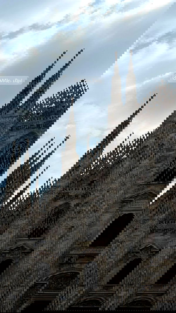 yuli.cohenn image ~ Altpins