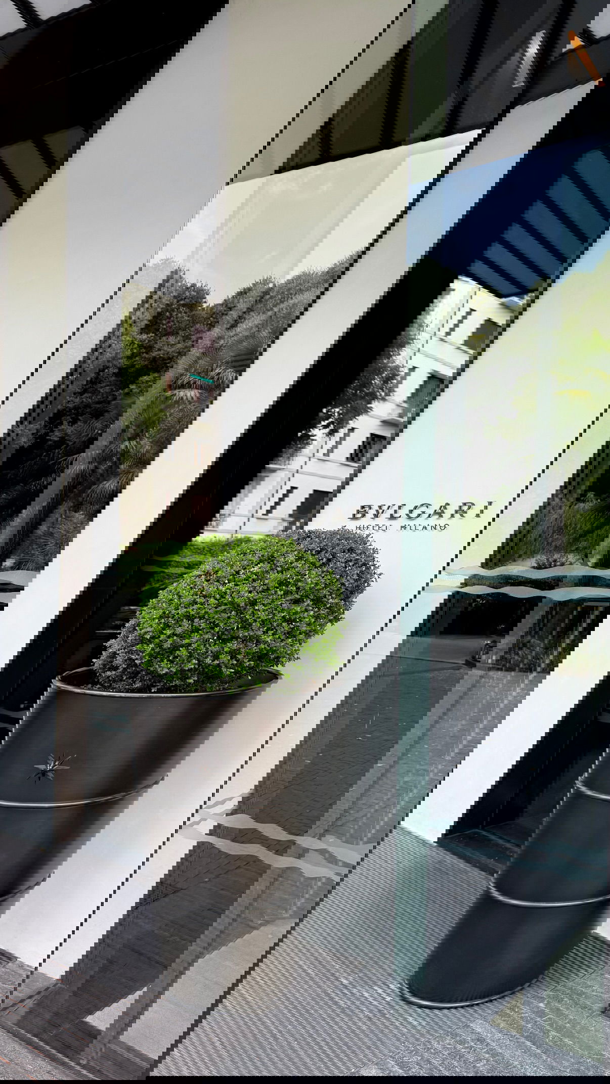 yuli.cohenn instagram image archive image