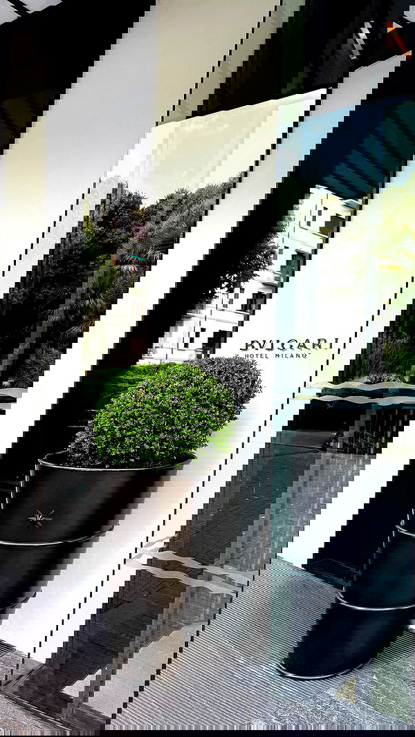 yuli.cohenn image ~ Altpins