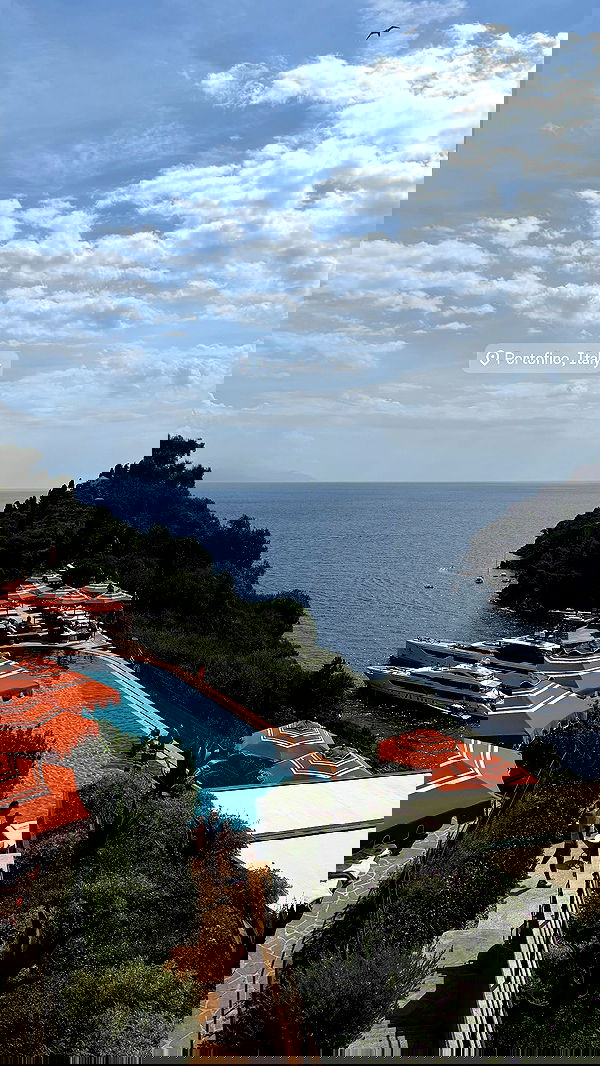 yuli.cohenn image ~ Altpins