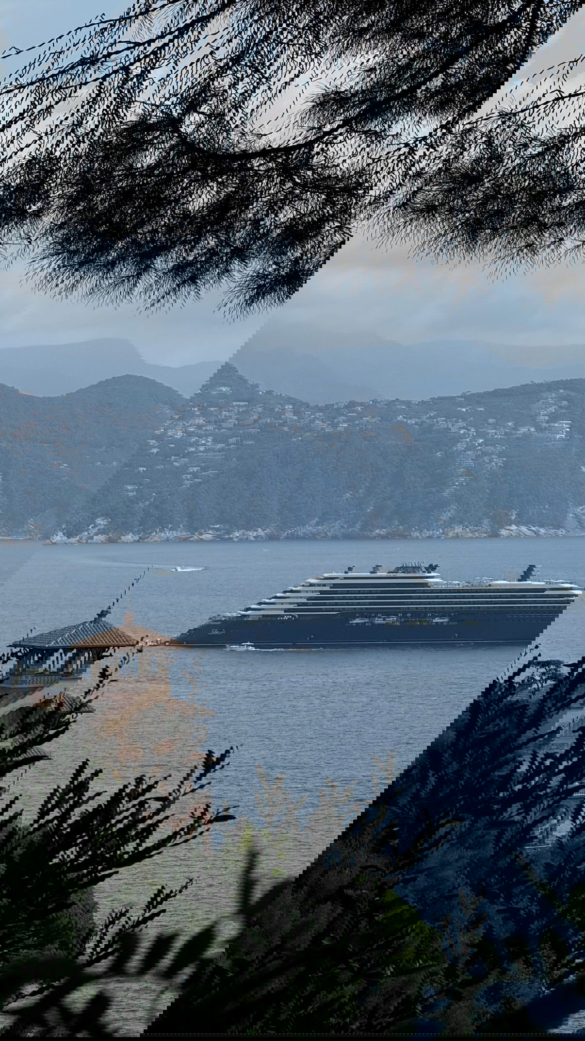 yuli.cohenn instagram image archive image