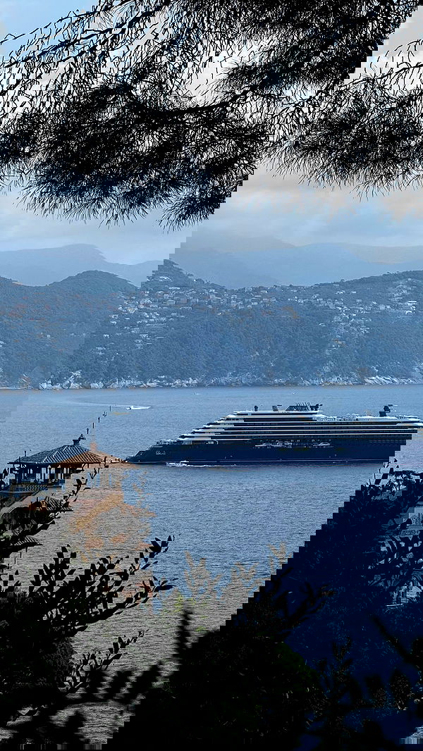 yuli.cohenn image ~ Altpins