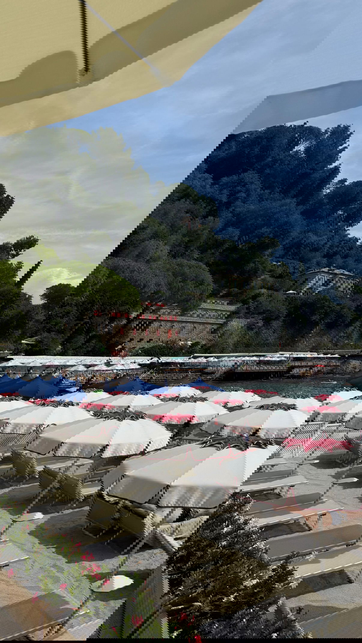 yuli.cohenn instagram image archive image