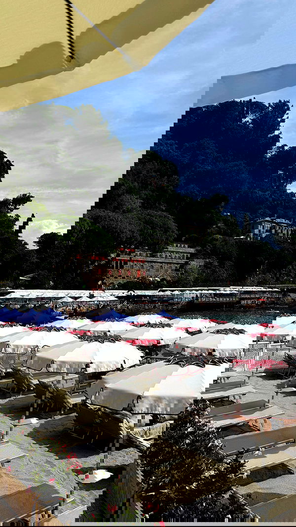 yuli.cohenn image ~ Altpins