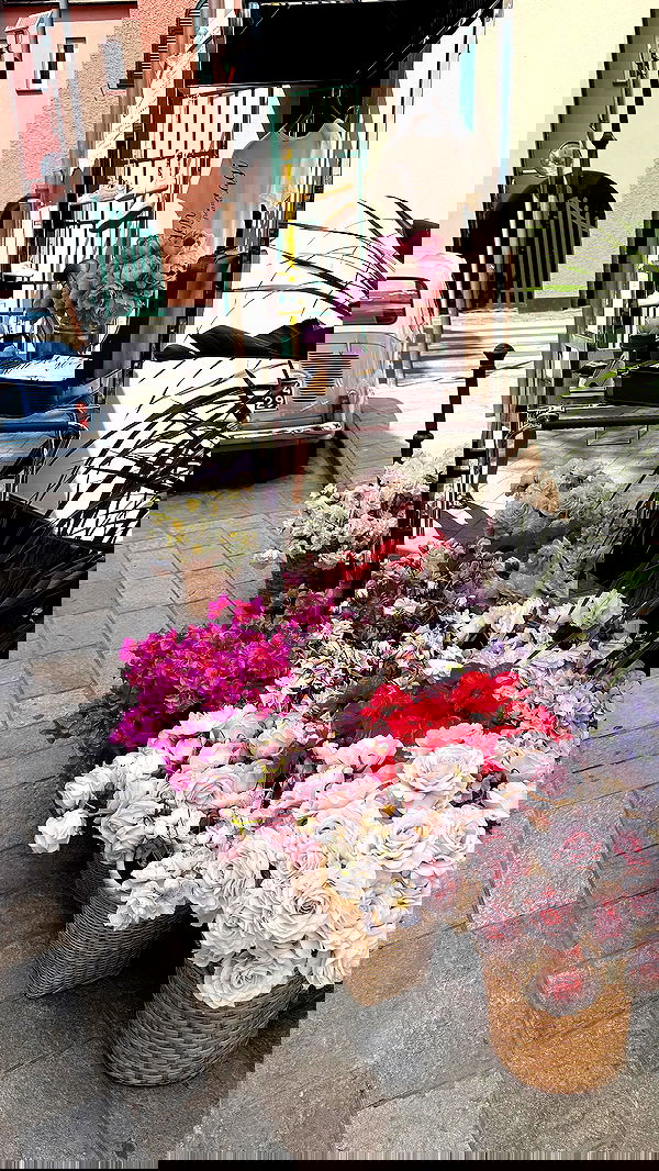 yuli.cohenn image ~ Altpins