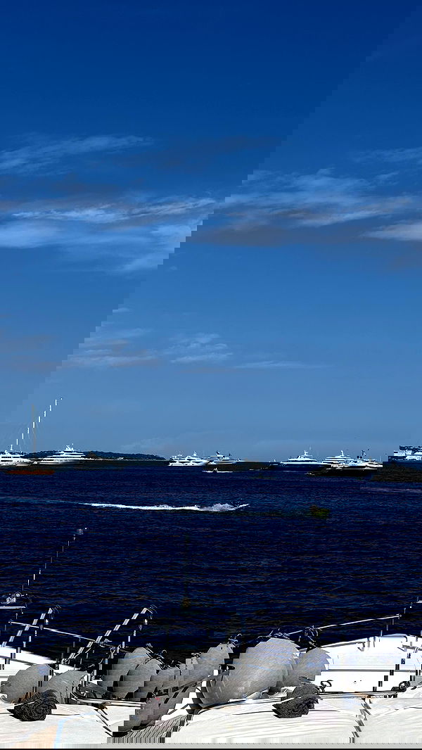 yuli.cohenn image ~ Altpins