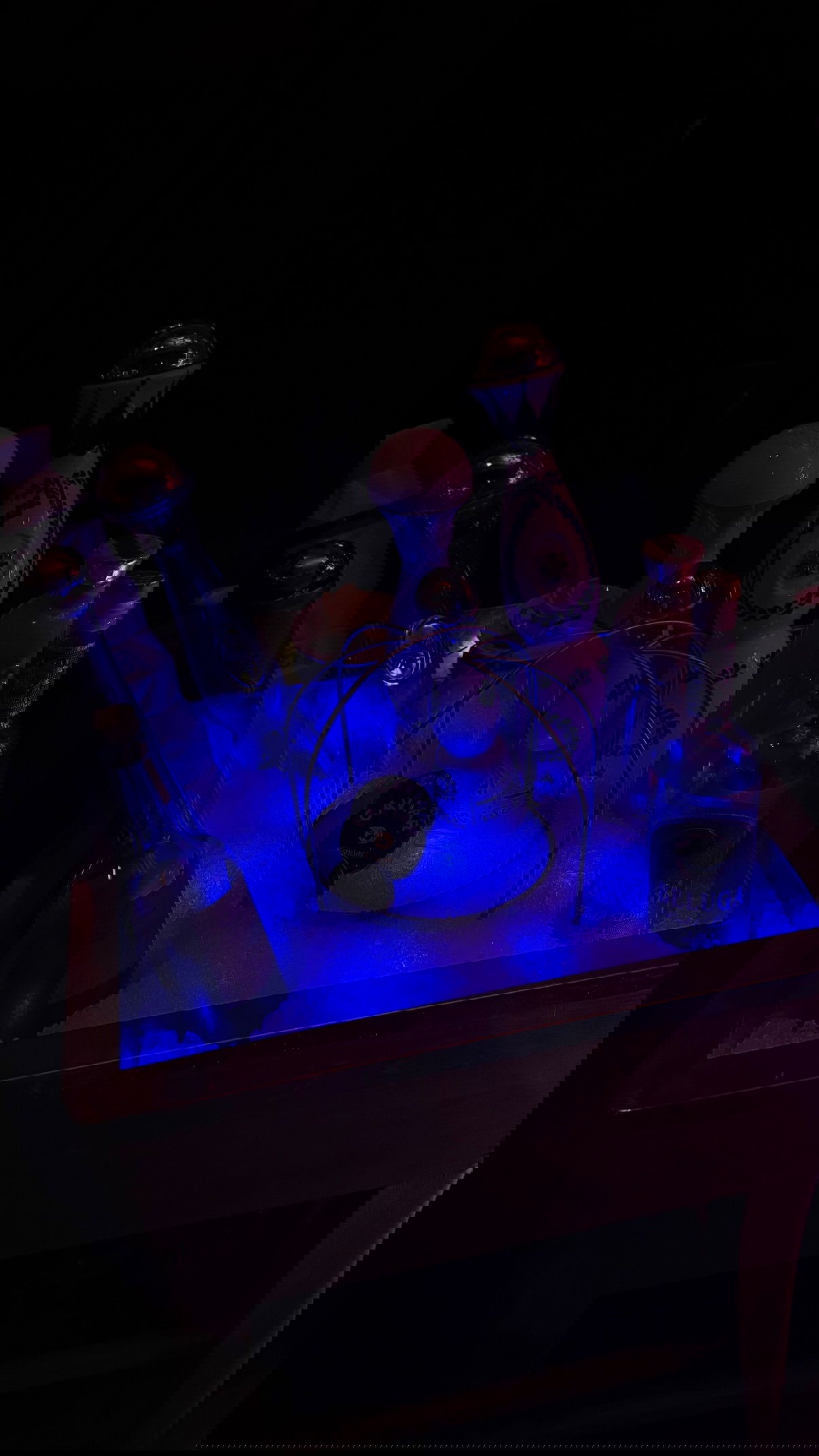 yuli.cohenn instagram image archive image