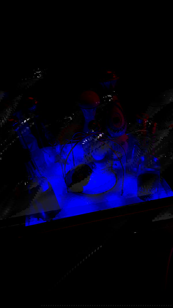 yuli.cohenn image ~ Altpins