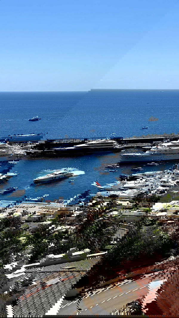 yuli.cohenn image ~ Altpins