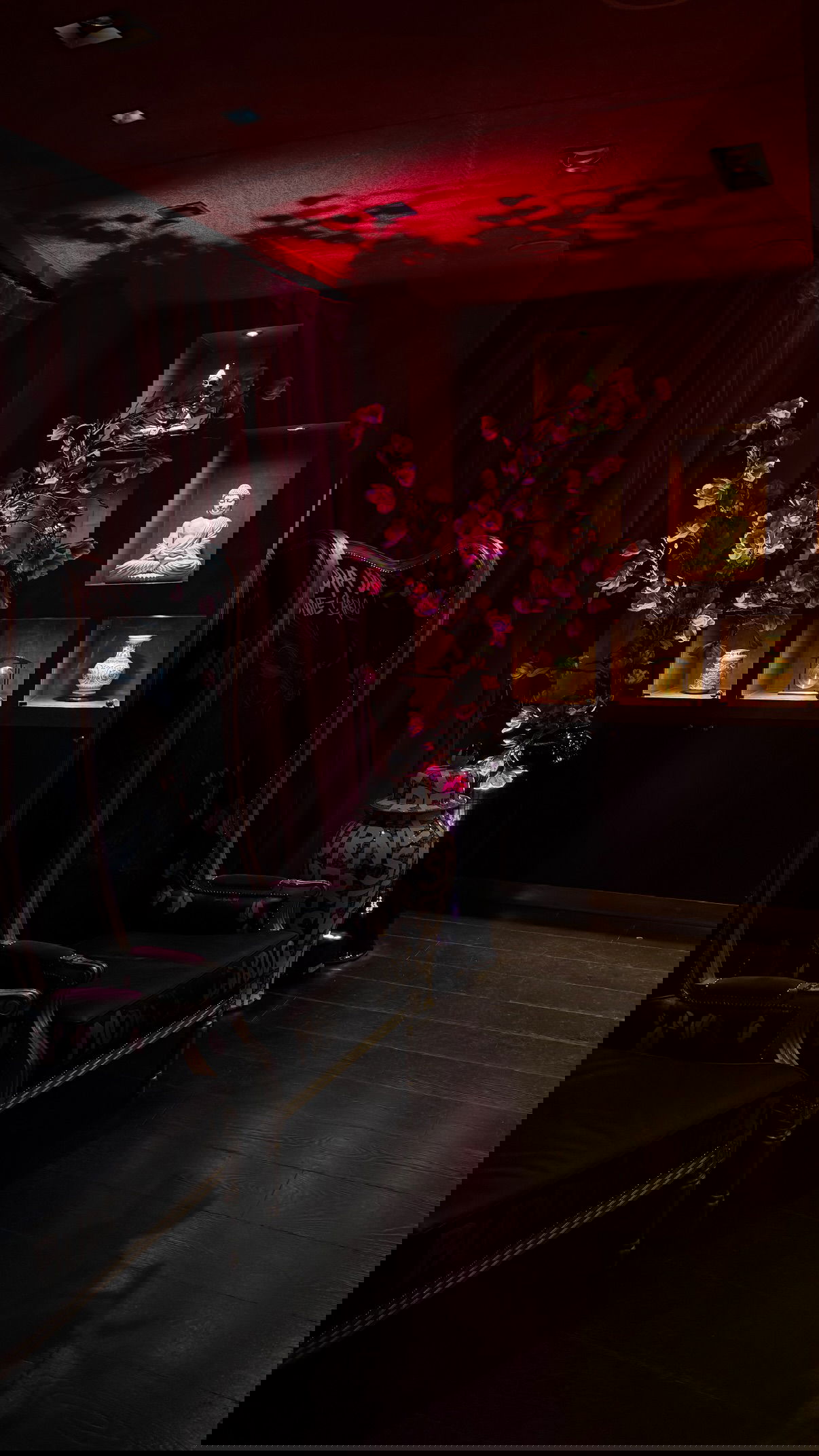 yuli.cohenn instagram image archive image