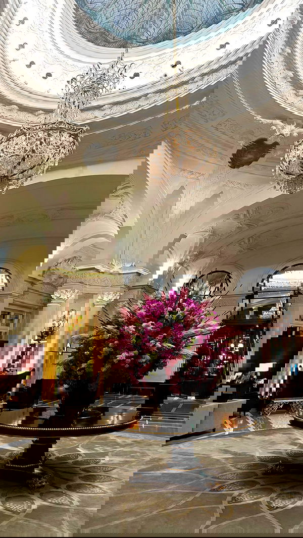 yuli.cohenn image ~ Altpins