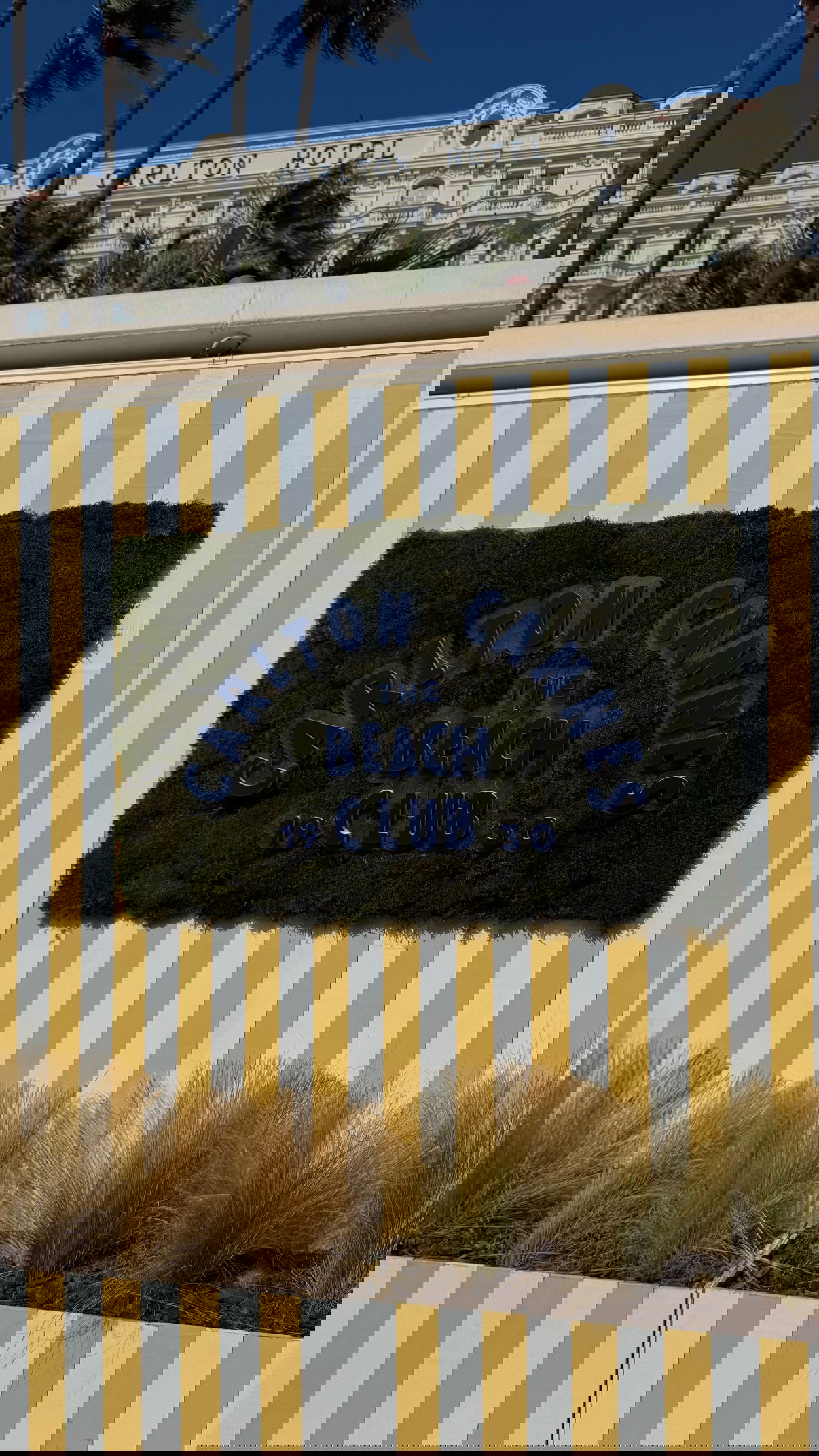 yuli.cohenn instagram image archive image