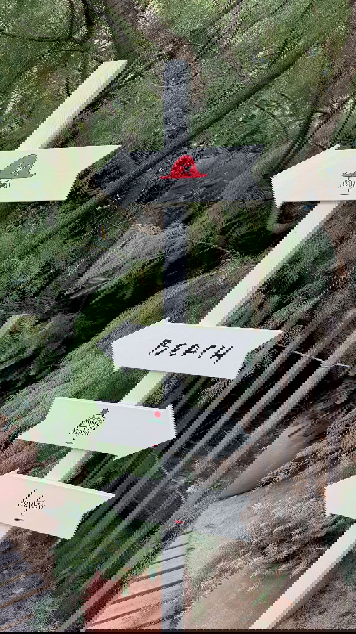 yuli.cohenn instagram image archive image