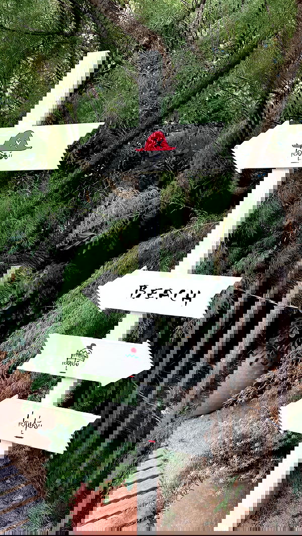 yuli.cohenn image ~ Altpins