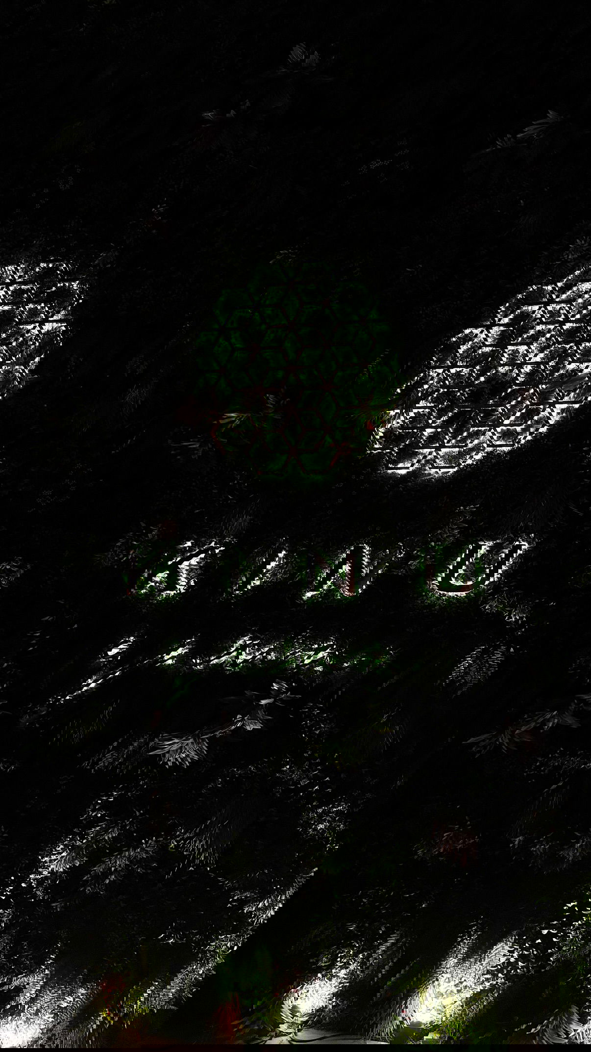 yuli.cohenn instagram image archive image