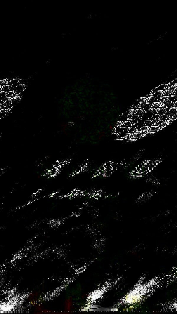 yuli.cohenn image ~ Altpins