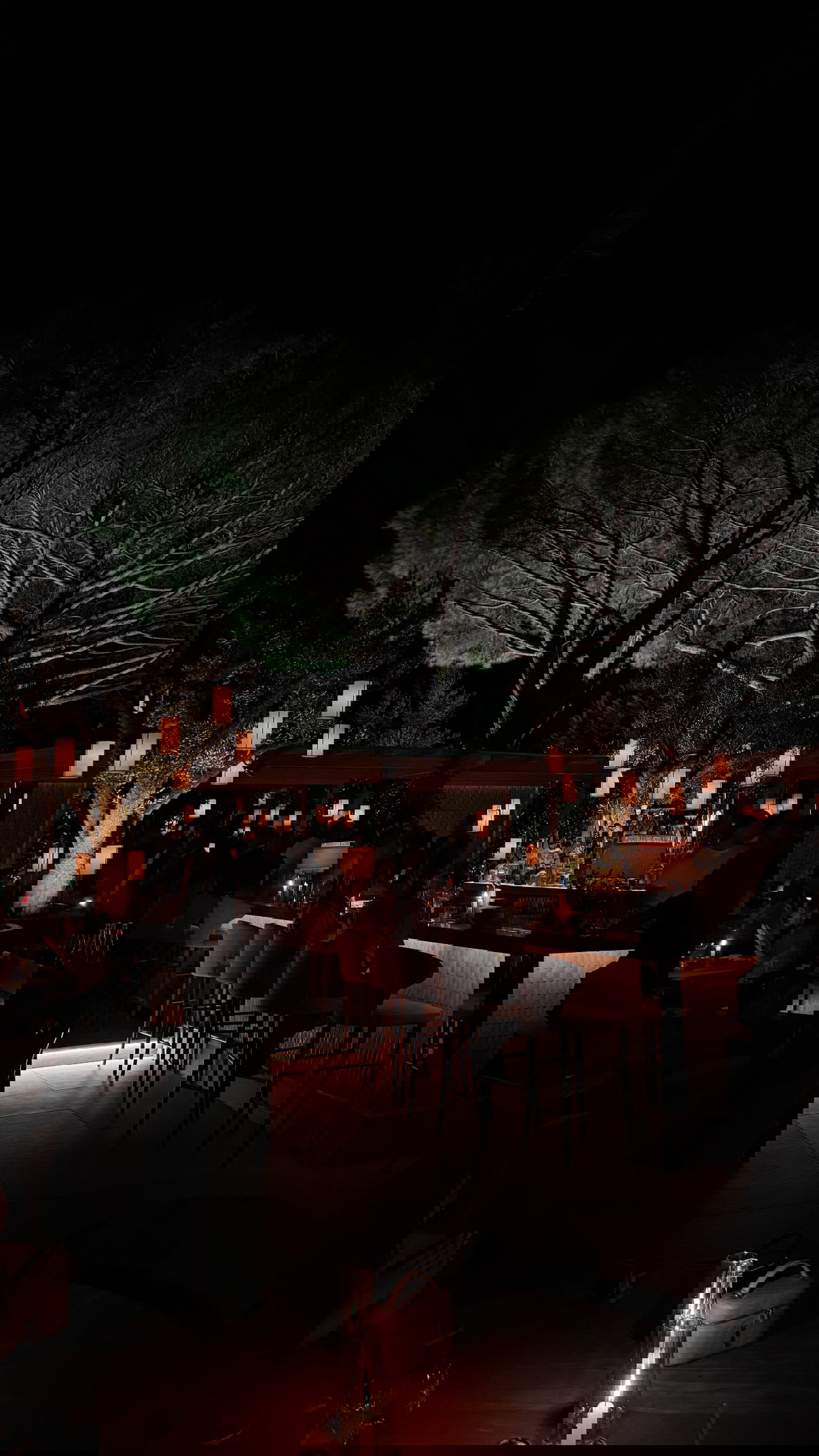 yuli.cohenn instagram image archive image