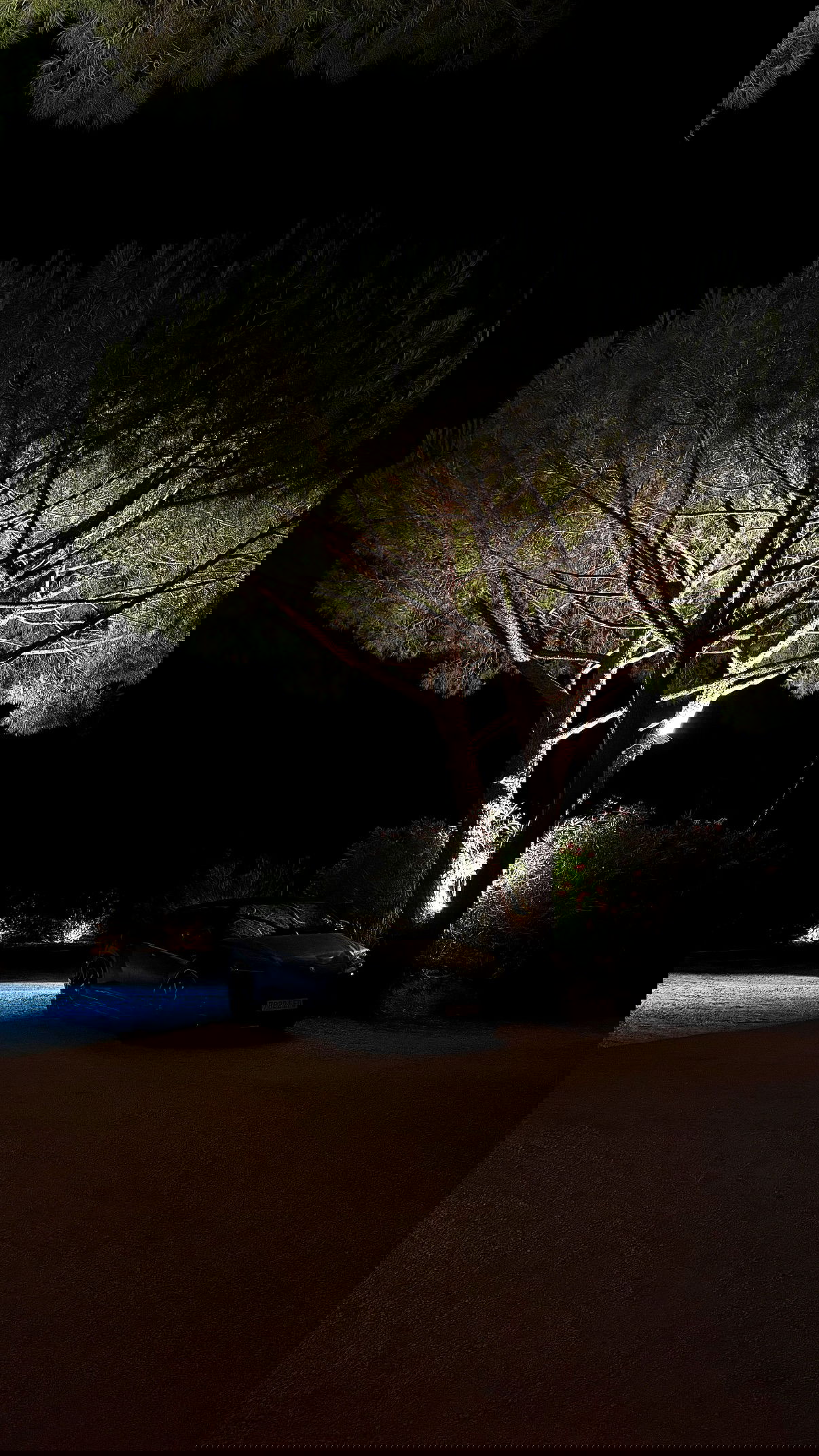 yuli.cohenn instagram image archive image