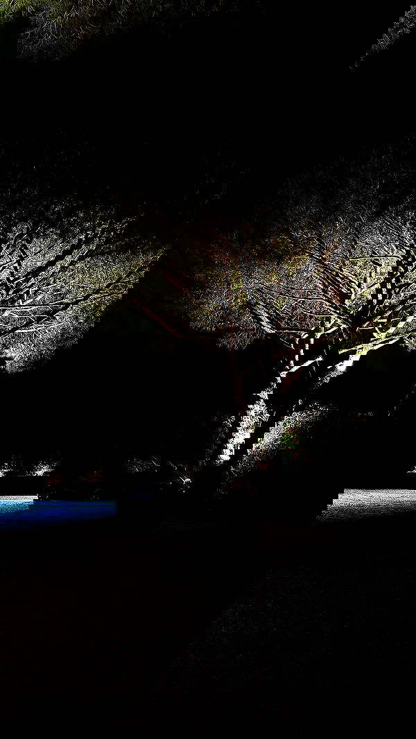 yuli.cohenn image ~ Altpins