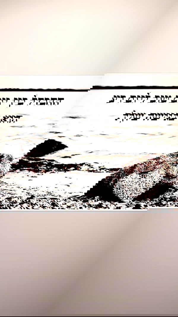 yulialam__ yulialam__ archive image