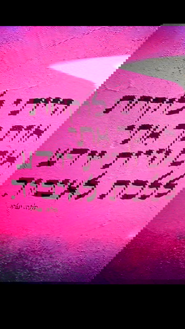 yulialam__ yulialam__ archive image