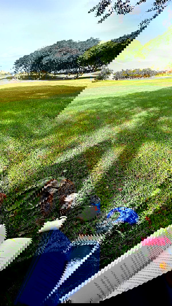 yulialam__ yulialam__ archive image