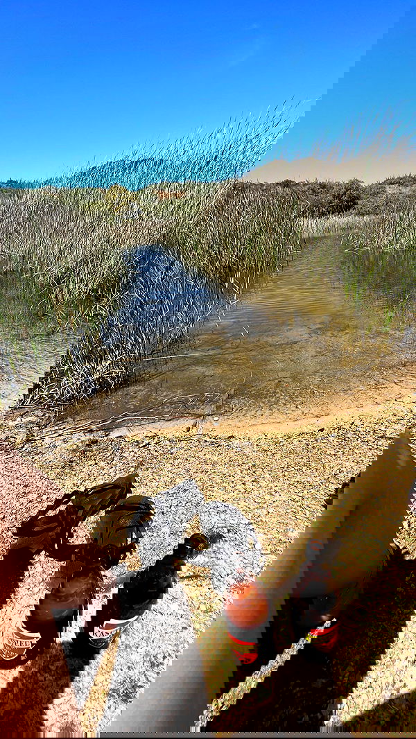 yulialam__ yulialam__ archive image