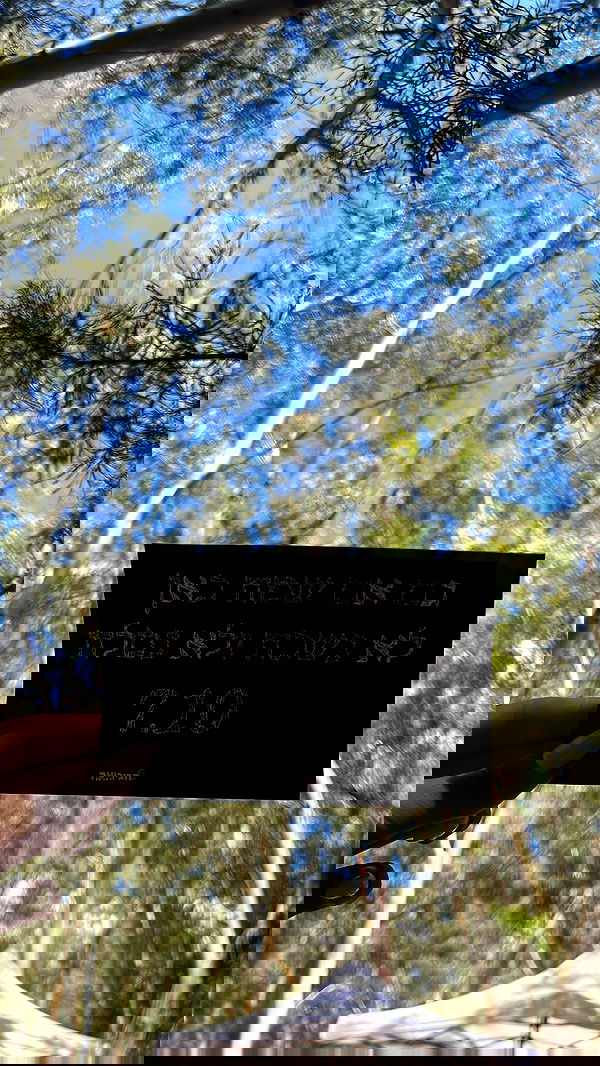 yulialam__ yulialam__ archive image