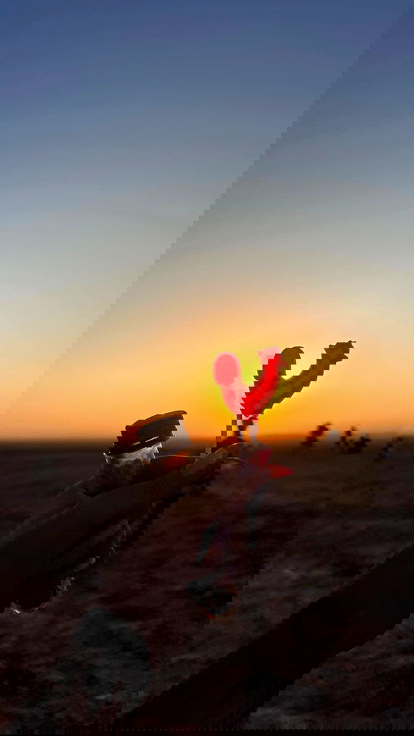 yulialam__ yulialam__ archive image