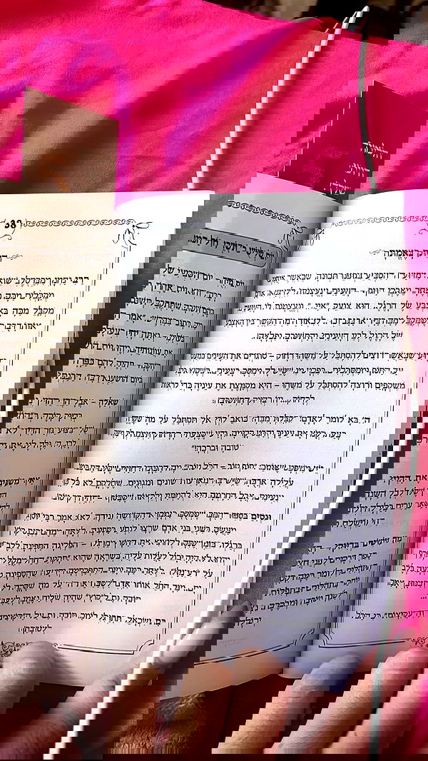 yulialam__ yulialam__ archive image