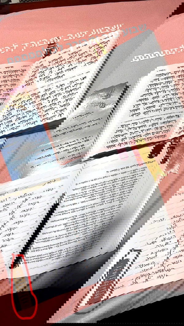 yulialam__ yulialam__ archive image